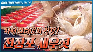 황석어 젓갈 좋아하시나요? 전장포에서는 엄청나게 나온다고합니다, 황석어 뿐만 아니라 김장에 필수인 새우젓깔까지! 짠내나는곳 #황석어 #동백하 #새우젓갈 #깡다리 #소금