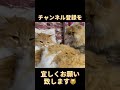 【猫劇場】猫界のビッグボス熊五郎くん【フミフミ】