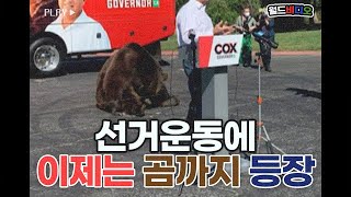 곰 등장!? 서커스야? 선거운동이야?