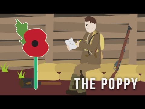 Who wrote Little poppy poem?