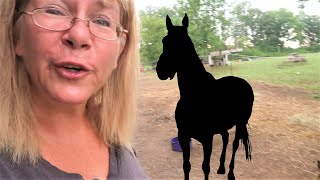 Revealing My New Horse Finally? Day 236 (08/25/20)