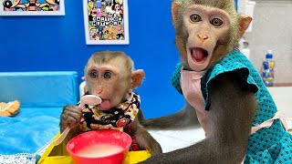 Nanny Bim Bim helps mom take care of Naughty Baby Monkey Obi