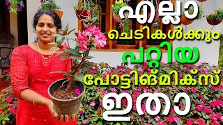 ഇനി ചെടികൾ ചിഞ്ഞു പോകുന്നു എന്ന് പറയരുത്|Do not say that the plants are rotting anymore|J4u TIPS