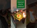 tuesday betel leaf diya pooja for lord murugan karthikeya 🙏🙏🙏🪔🪔 betel_leaf diya good goodvibes