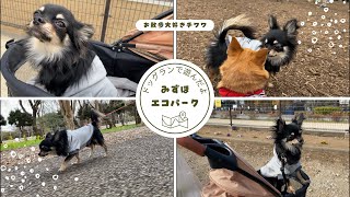 みずほエコパークのドッグランに行ってきたよ♪