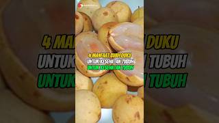 4 Manfaat Buah Duku Untuk Kesehatan Tubuh #shorts #duku #buah #buahbuahan #infopenting #buahduku