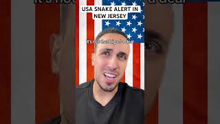 USA Snake Alert In New Jersey