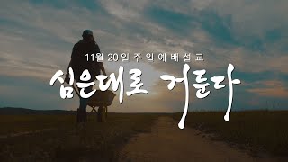 2분설교 | 심은대로 거둔다 | 갈라디아서 6:7-10 | 2022. 11. 20 주일예배 설교 | 정명철 목사 | 도림교회