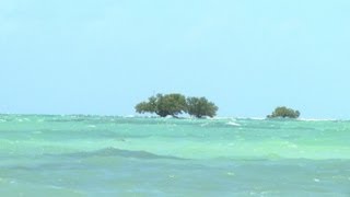 Florida fights rising sea level