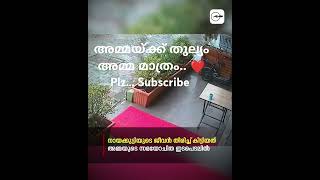 വീഡിയോ കണ്ട് എല്ലാവരും ഞെട്ടി.. 😱#trending #shorts #shortvideo #short #viralvideo