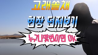 고래쏠채 현장 던져보기 누구나 몇번이면OK