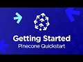 Pinecone #1 - Getting Started