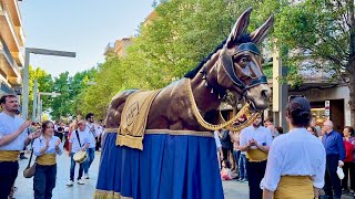 LA MULASSADA - LA MULASSA del Prat de Llobregat - La Passada de l’Ascensió Granollers 2024