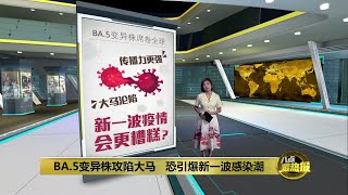 BA.5变异株攻陷大马 学者警告确诊病例比之前更高 | 八点最热报 10/07/2022