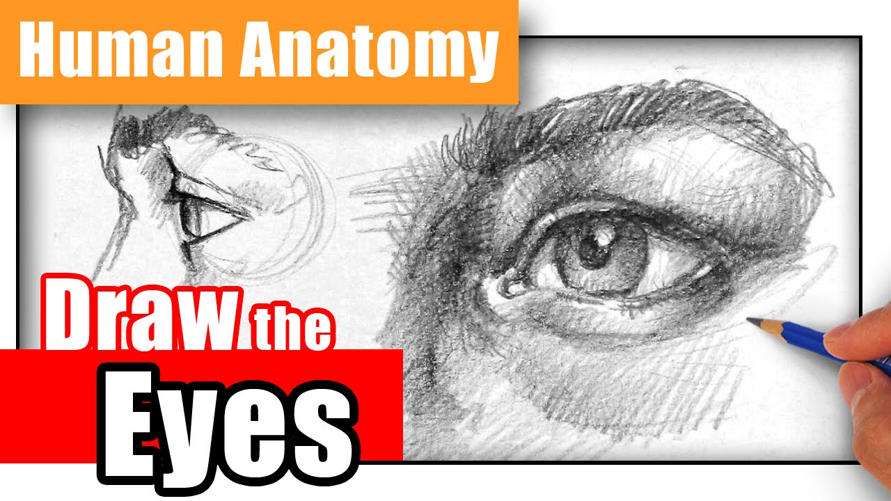 How To Draw The Eye Different Angles Youtube How To Draw The Eye Different Angles Youtube
