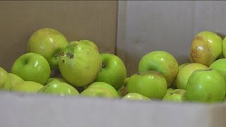 Thousands of San Diego County residents to lose CalFresh benefits starting next week