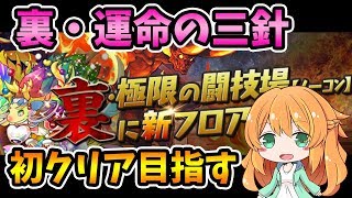 【パズドラ生放送】裏運命の三針初クリア目指します！今年最後のパズドラ配信♪