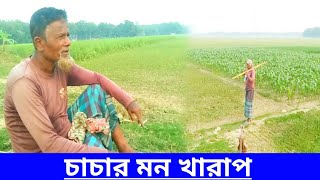 চাচার মন ভালো নেই চাচা সারাদিন পিয়াজ কুপানো কাজ করছে