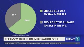 Texans weight in on immigration issues in University of Houston study