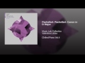 Music Lab Collective - Canon in D Major