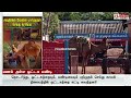 சாப்பாடு போட முடியல ஏம்பா நீயே ஒட்டகத்தை வச்சுக்க.. மணல் திருட ஒட்டக வண்டி வாங்கிய சவுதி ரிட்டர்ன்