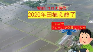 Withコロナ元年2020年田植え終了！