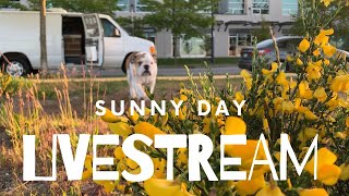 SUNY DAY LIVESTREAM IN A CARGO VAN