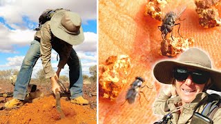 Two days Metal Detecting for Gold Nuggets in Outback Australia