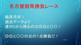 【地方競馬予想】佐賀競馬！佐賀記念！大井競馬！金杯！どちらも炎の絶好調１点勝負馬券！