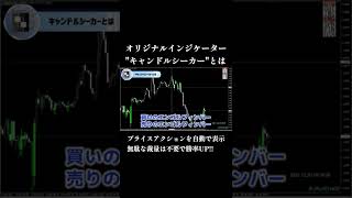 【FX】プライスアクション自動表示で勝率UP！！オリジナルインジケーター「キャンドルシーカー」