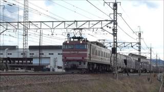 EF81 719ラストラン