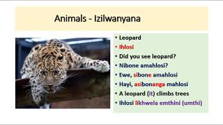 Conversational isiXhosa. IsiXhosa terms for the animals you could see.