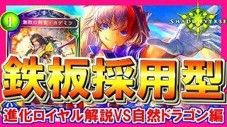 連勝多数、MP+20000！進化ロイヤルの立ち回りVS自然ドラゴン編 【シャドウバース / Shadowverse】