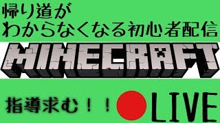 【マインクラフト】追放されたので我の世界を堪能【PS4版】