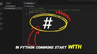 Python Programming Tutorial: Hello, World! and Comments