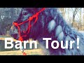 Barn Tour