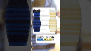 Why Do We See This Dress Differently