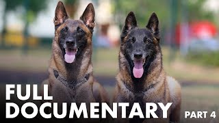 The Working Dog - Full Documentary (Part 4/4)