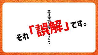 皮革・革製品がエコでサステナブルな理由 15秒動画（皮を活用することは脱炭素につながる篇）