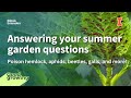 Answering your summer garden questions | #GoodGrowing