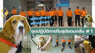 ด้วยรักและหน้าที่ ชุดปฏิบัติการทีมสุนัขดมกลิ่น I Pet Lover by Jerhigh EP. 9