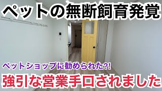 ペットショップに勧められた⁈強引な営業手口発覚！