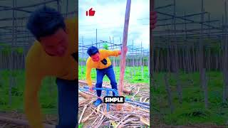 Revolutionizing Farming: The Bamboo Pulling Tool #shorts #tools #farming2025