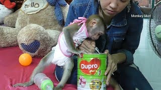 Baby Monkey Mori | Mori Enjoy See Mom Unbox Button Milk, Mori Learn To Carry Bottle Milk