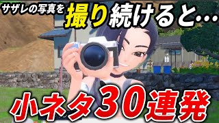 碧の仮面の細かすぎる小ネタ30連発【ポケモンSV】