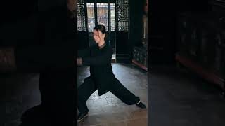 Tai Chi |太极拳发力，刚柔并济，以意导力 #taichi #kungfu #taichiquan  #功夫 #太极  #太极拳 #太极教学 #taichitutorial #martialar