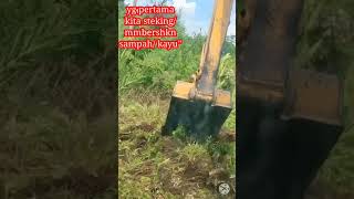 Proses cetak sawah/cara cetak sawah di palembang