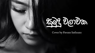 Sumudu walawaka (Lyrics) සුමුදු වලාවක Cover by Pavara Sathsara