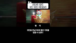 오늘의 운세 1월 11일 토요일 띠별운세 [ 내일의 운세 ]