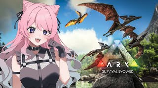 【 ARK 】まずはこの世界に慣れるところから【 #新人vtuber / 迷路メイロ 】